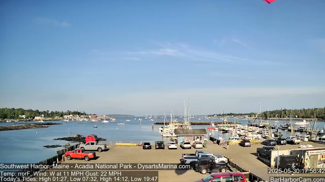 A sunny harbor scene shows numerous boats docked, with several cars parked in a lot overlooking the water under a mostly clear blue sky.