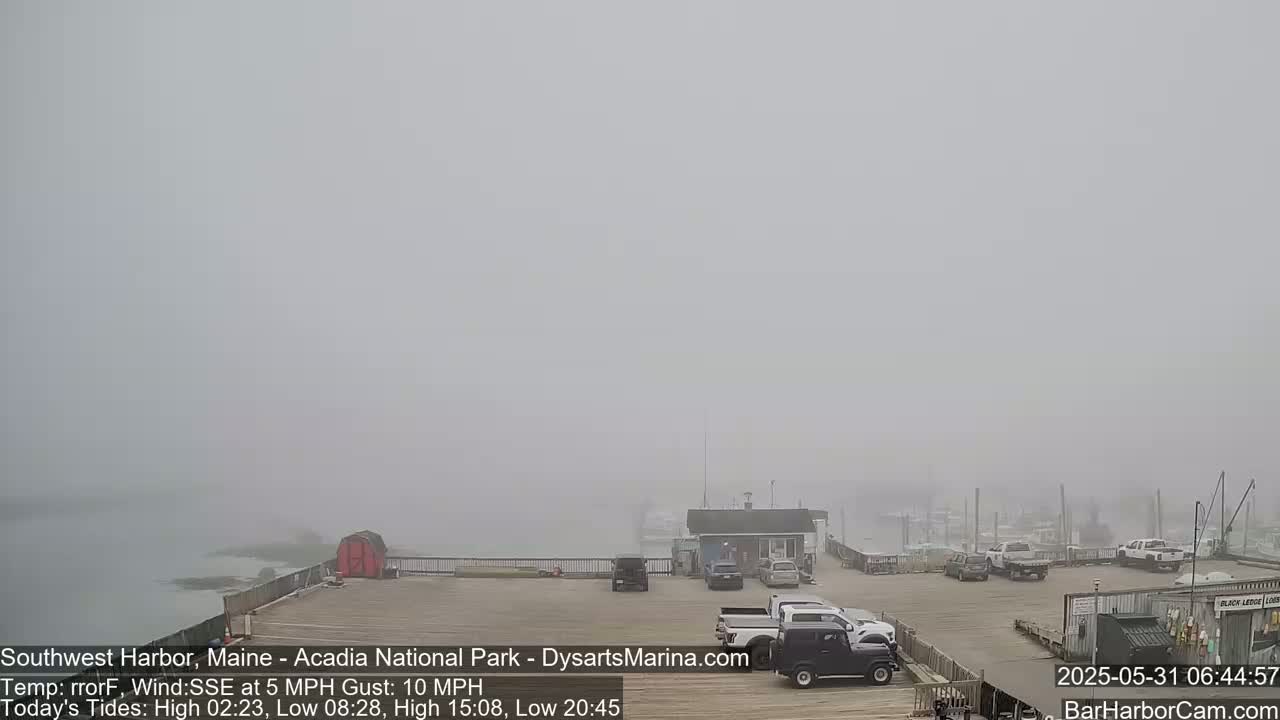 A foggy harbor scene shows a parking lot with several vehicles near a small building and a waterfront with boats in the distance.