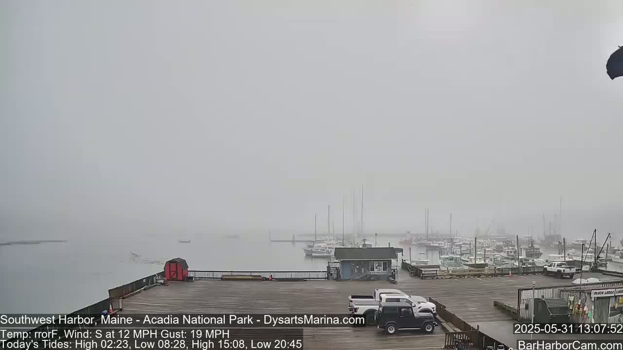 A foggy harbor scene shows a marina with several boats and cars parked on a wooden dock.