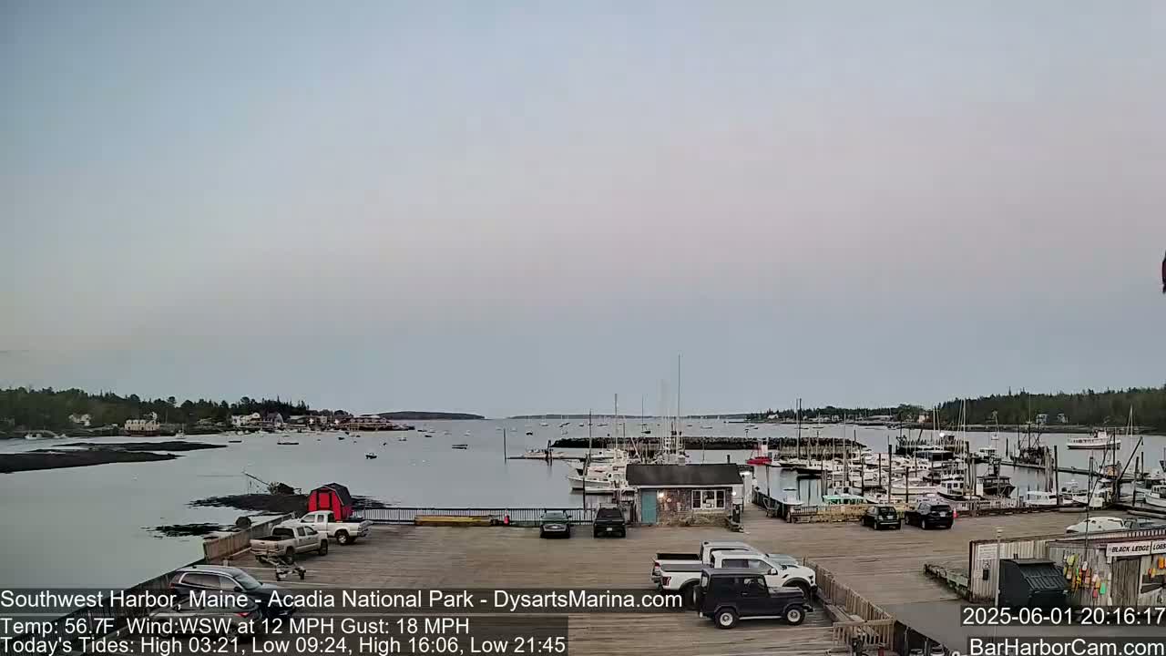 A calm, overcast day reveals a harbor filled with boats and a parking lot with several vehicles, all situated near a shoreline with trees.