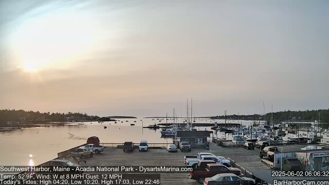 A calm harbor with many boats docked, viewed from a parking lot at sunrise under a mostly clear, light-pink sky.