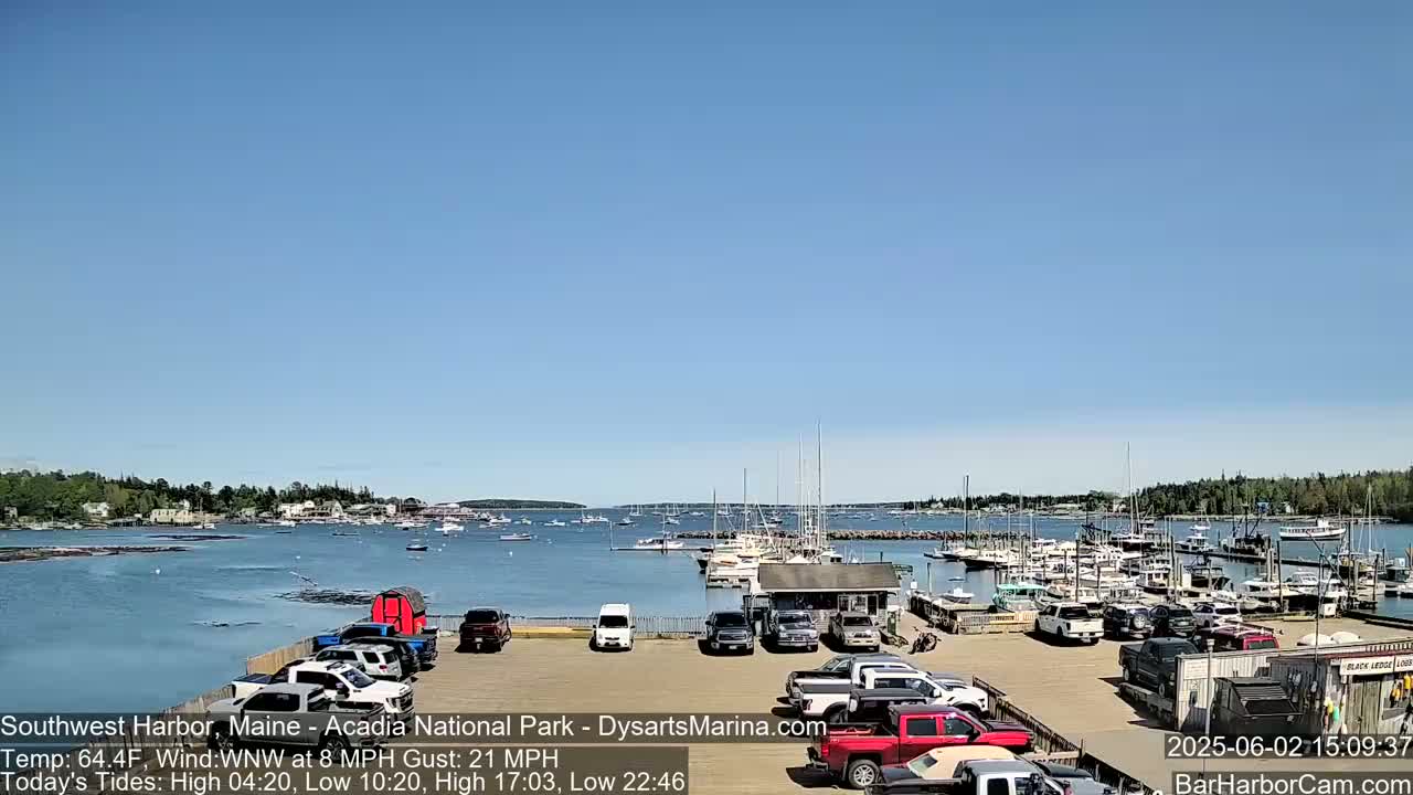 A sunny harbor scene shows a parking lot full of cars and trucks next to a marina filled with boats, with a calm body of water and a treeline in the background under a clear blue sky.