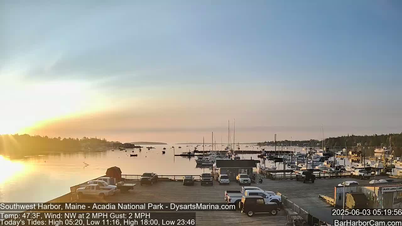 A calm harbor filled with boats at sunrise, under a clear, pale-orange sky.