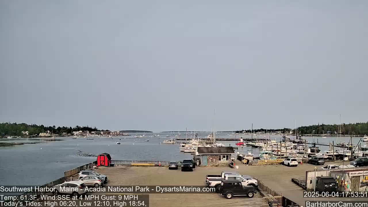 A harbor filled with numerous boats is visible under a hazy, light-grey sky, with cars parked in a lot in the foreground.