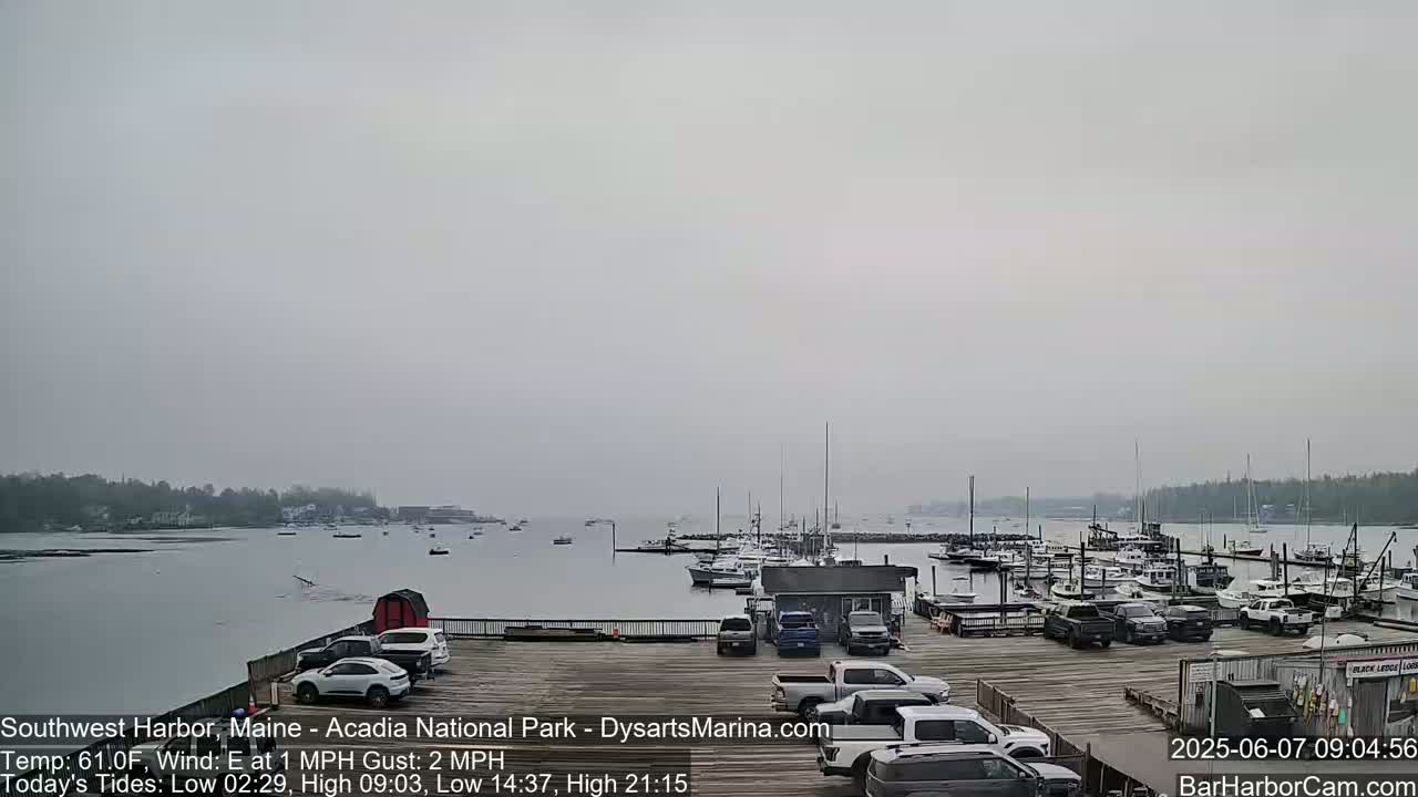 A foggy harbor scene shows a calm body of water with numerous boats docked, and a parking lot filled with cars sits in the foreground.