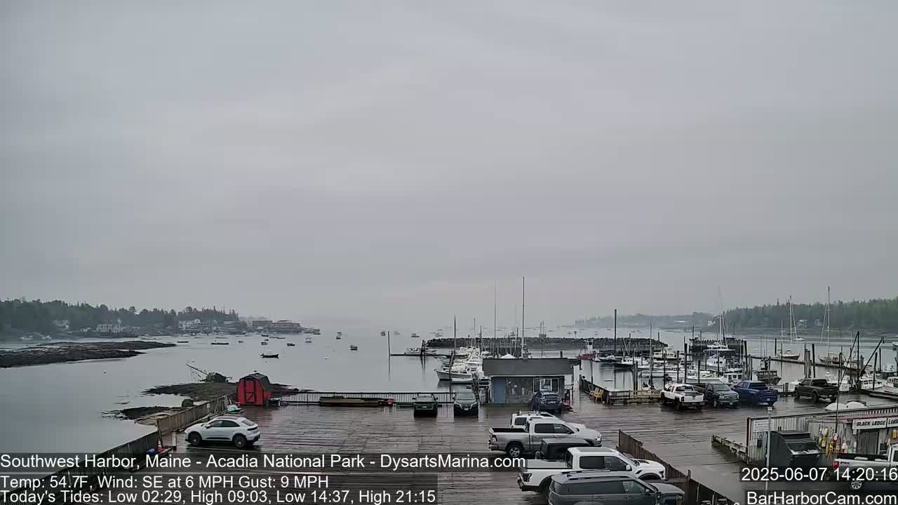 A harbor filled with boats is visible on an overcast day, with cars parked in a lot overlooking the water.