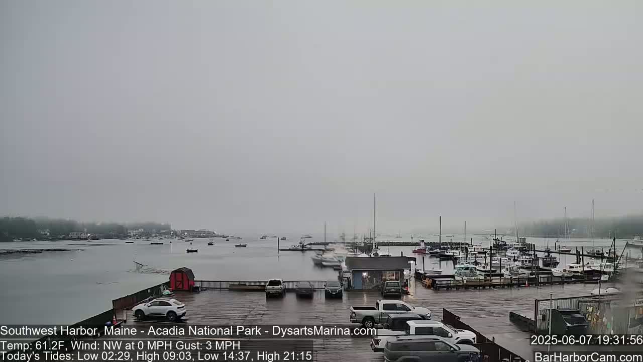 A foggy harbor scene shows numerous boats docked at a marina, with several cars parked in a lot overlooking the water.