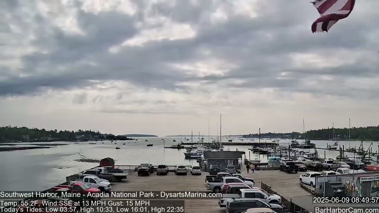 A mostly cloudy day shows a harbor with numerous boats and cars parked in a lot, a flag waving in the wind.