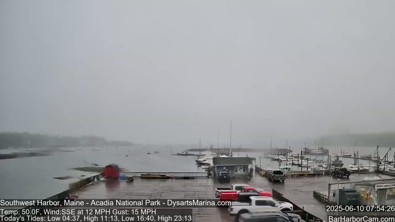 A foggy harbor scene shows many boats at a marina, with several trucks parked on a wet dock.
