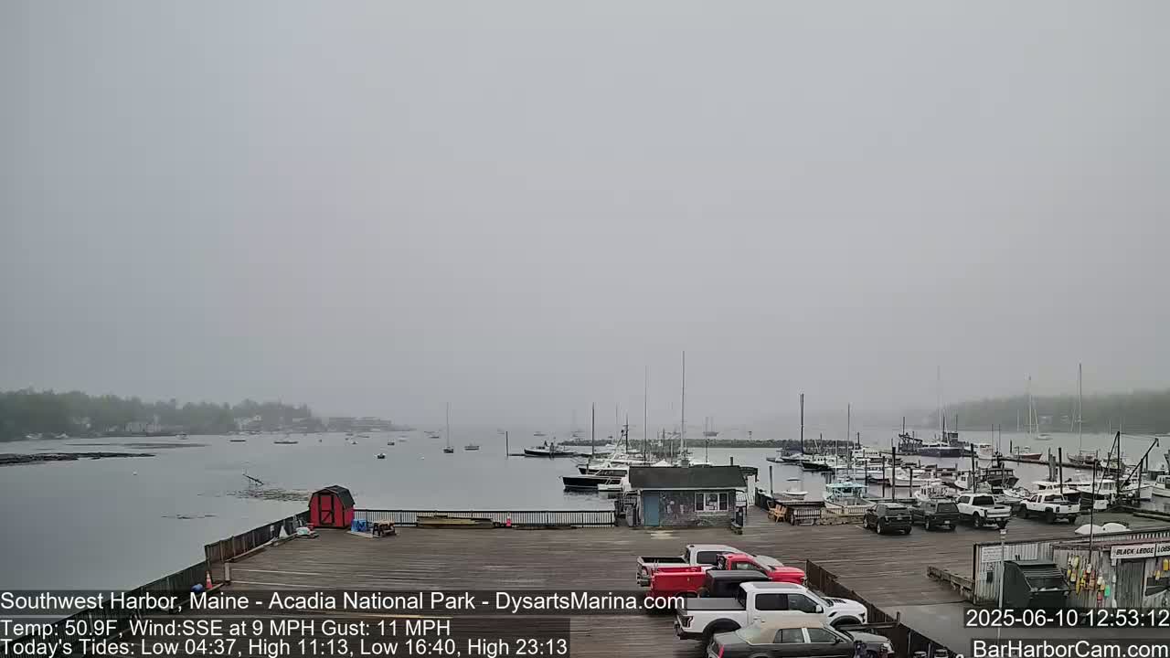 A foggy harbor scene shows numerous boats moored at a dock with several cars parked in a lot nearby.