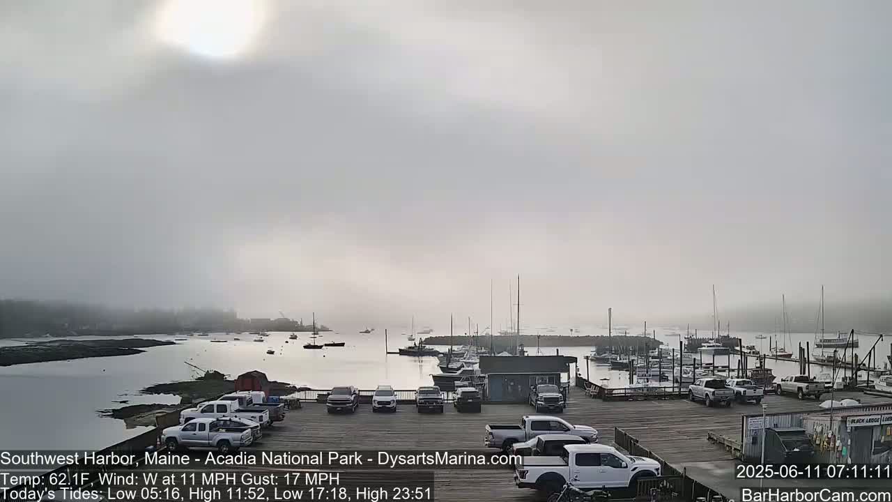 A foggy harbor scene shows a parking lot full of trucks and cars next to a marina with numerous boats docked, under a hazy sun.