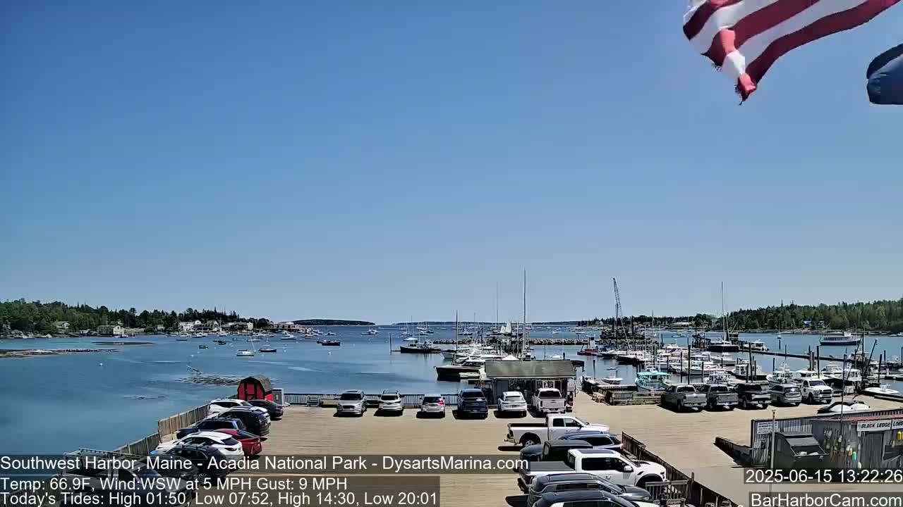 A sunny harbor scene with numerous boats docked, a parking lot filled with cars, and an American flag waving in the breeze.