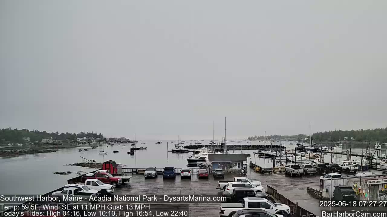 A harbor filled with boats is seen on an overcast day, with a parking lot full of cars in the foreground.