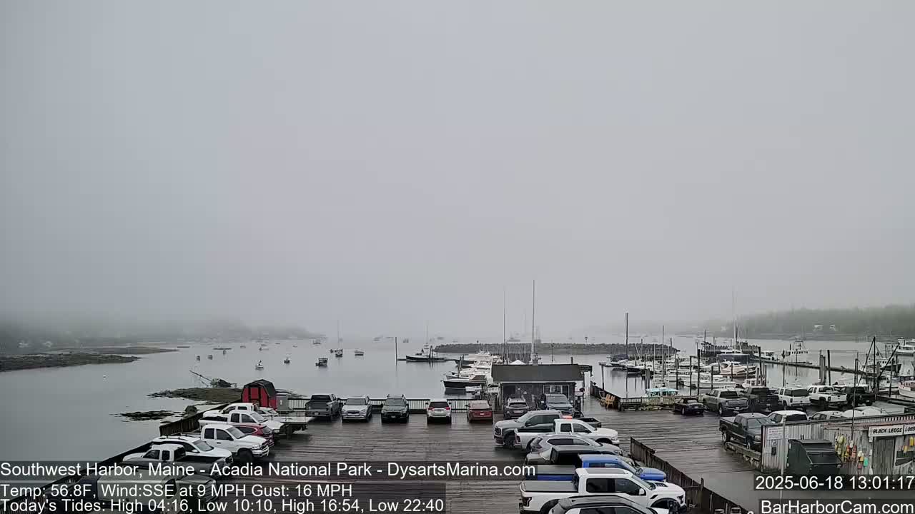 A foggy harbor scene shows a parking lot full of cars next to a marina with many boats, under an overcast sky.