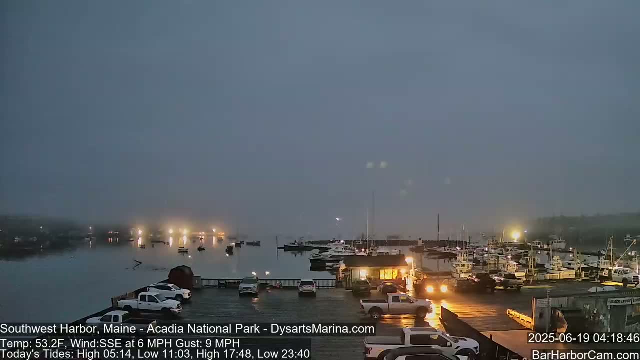 A harbor filled with docked boats is shrouded in a misty, overcast twilight.