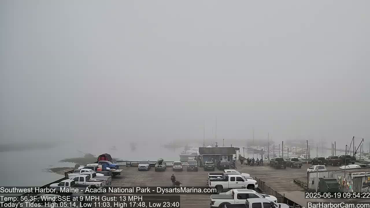 A foggy harbor scene shows a parking lot full of vehicles next to a dock with boats moored in the water.