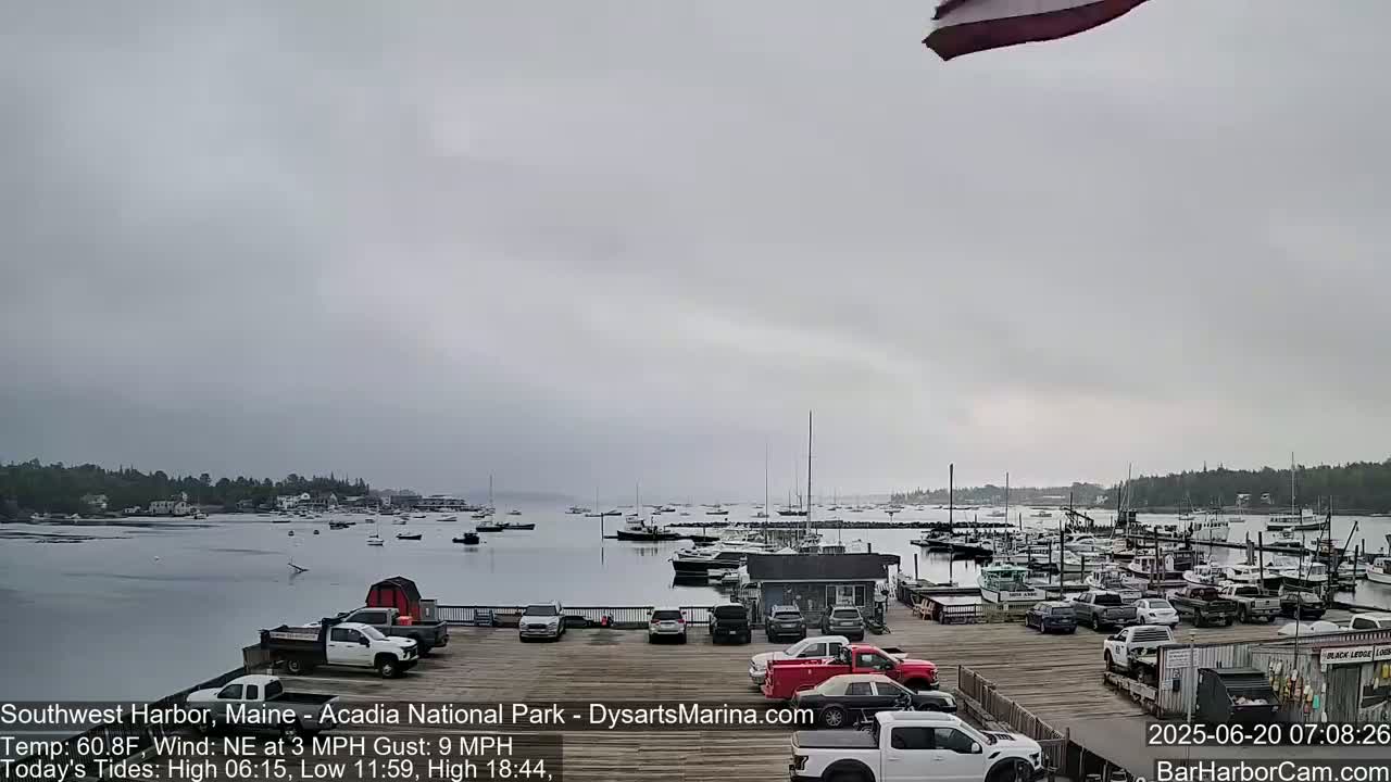 A harbor with numerous boats and a parking lot full of trucks is visible under an overcast sky.