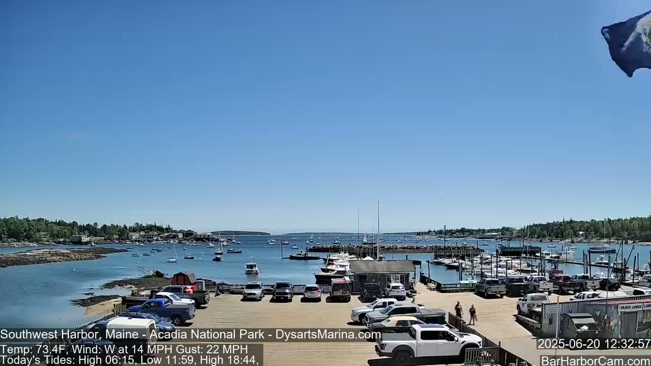 A sunny day shows a harbor filled with boats and a parking lot of cars, with a calm body of water and trees in the background.