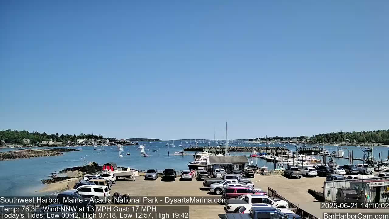 A sunny day shows a harbor filled with boats, a parking lot with cars, and a shoreline with a few buildings in the distance.