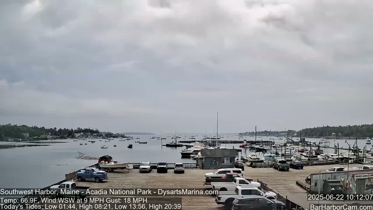 A harbor filled with numerous boats under an overcast sky.