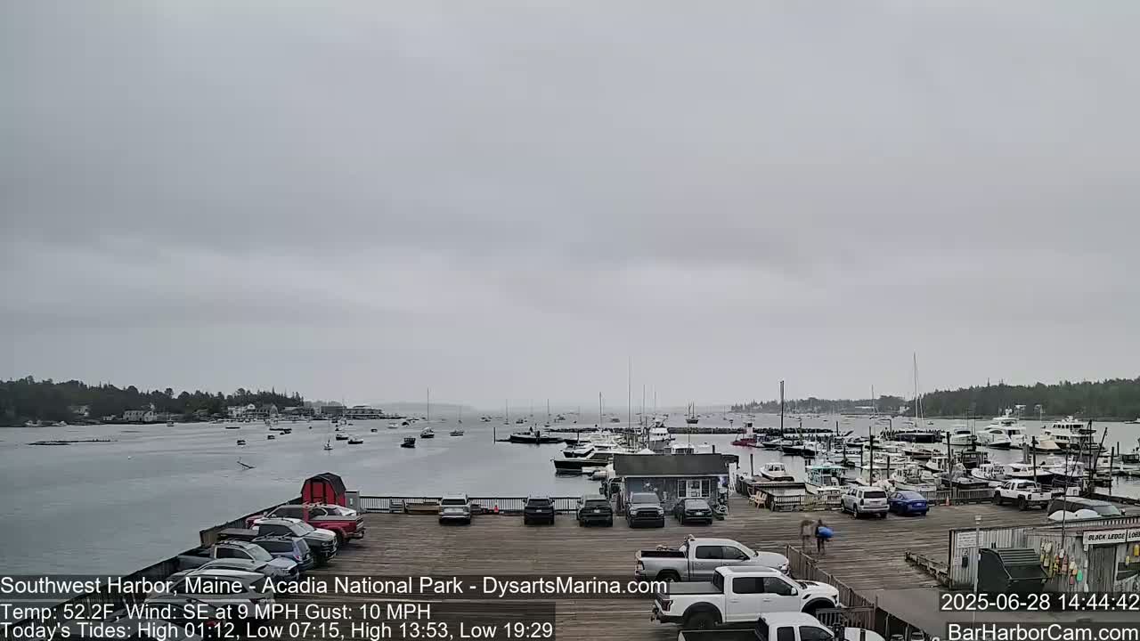 Acadia National Park, Southwest Harbor Live Cam - Maine, USA