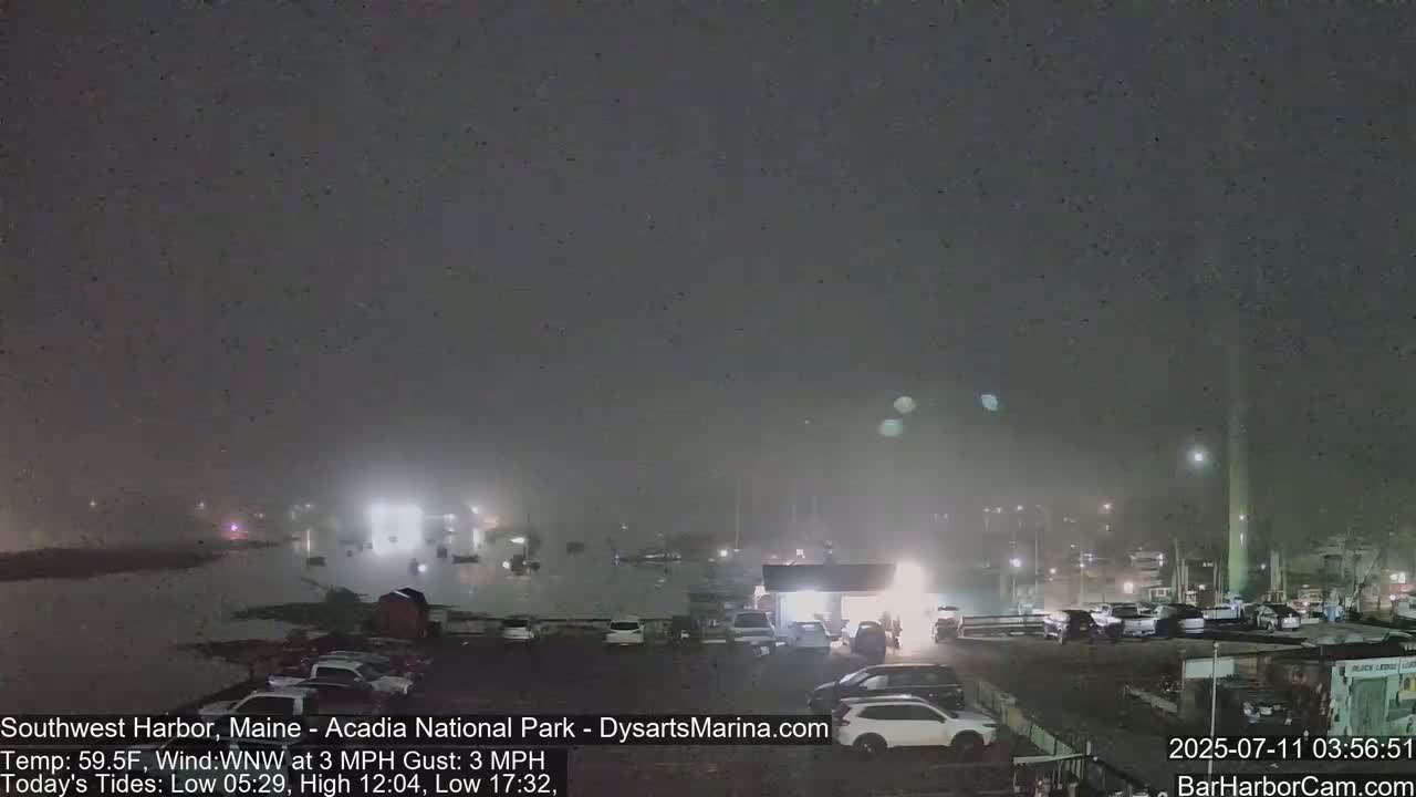 A foggy night scene shows a harbor with cars parked in a lot and boats moored, under a dark, overcast sky.