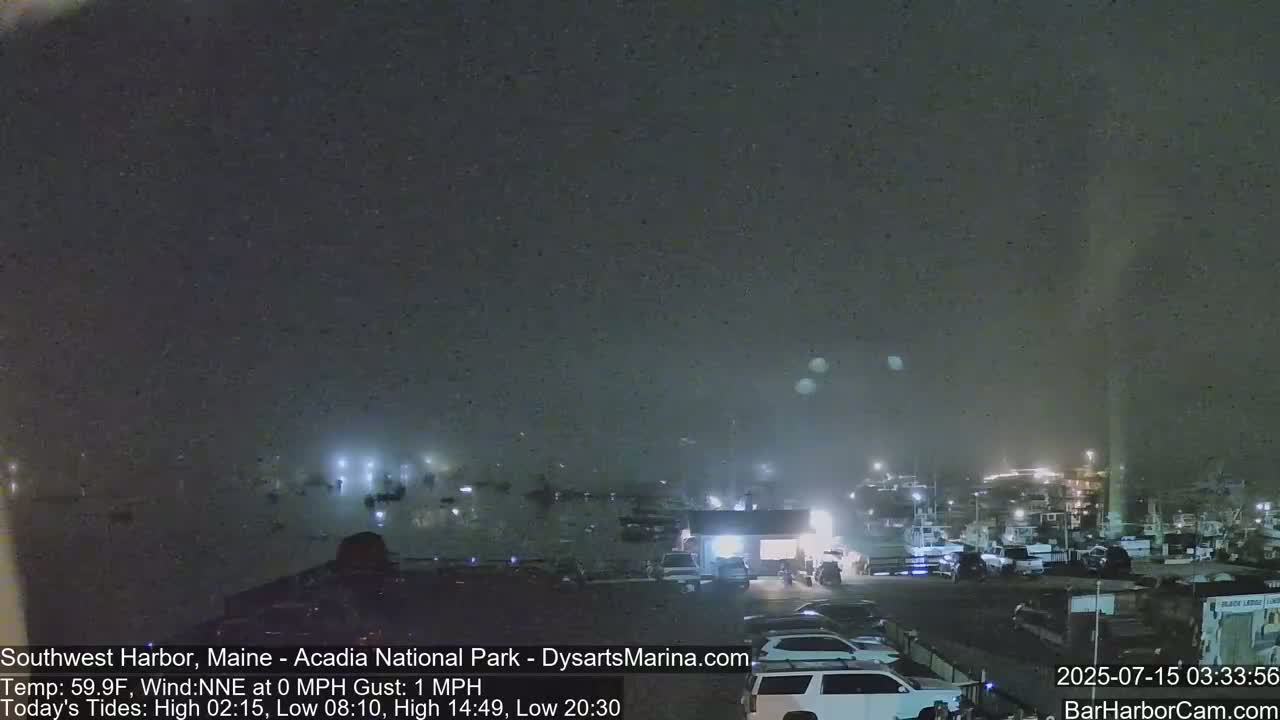 A nighttime view of a harbor filled with boats under a foggy sky.