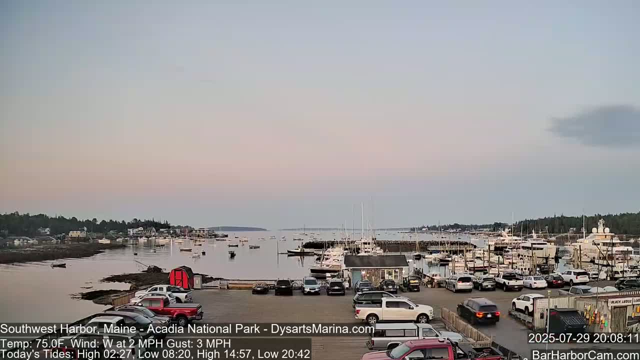 A nighttime view of a harbor filled with boats and cars parked nearby under a clear, dark sky.