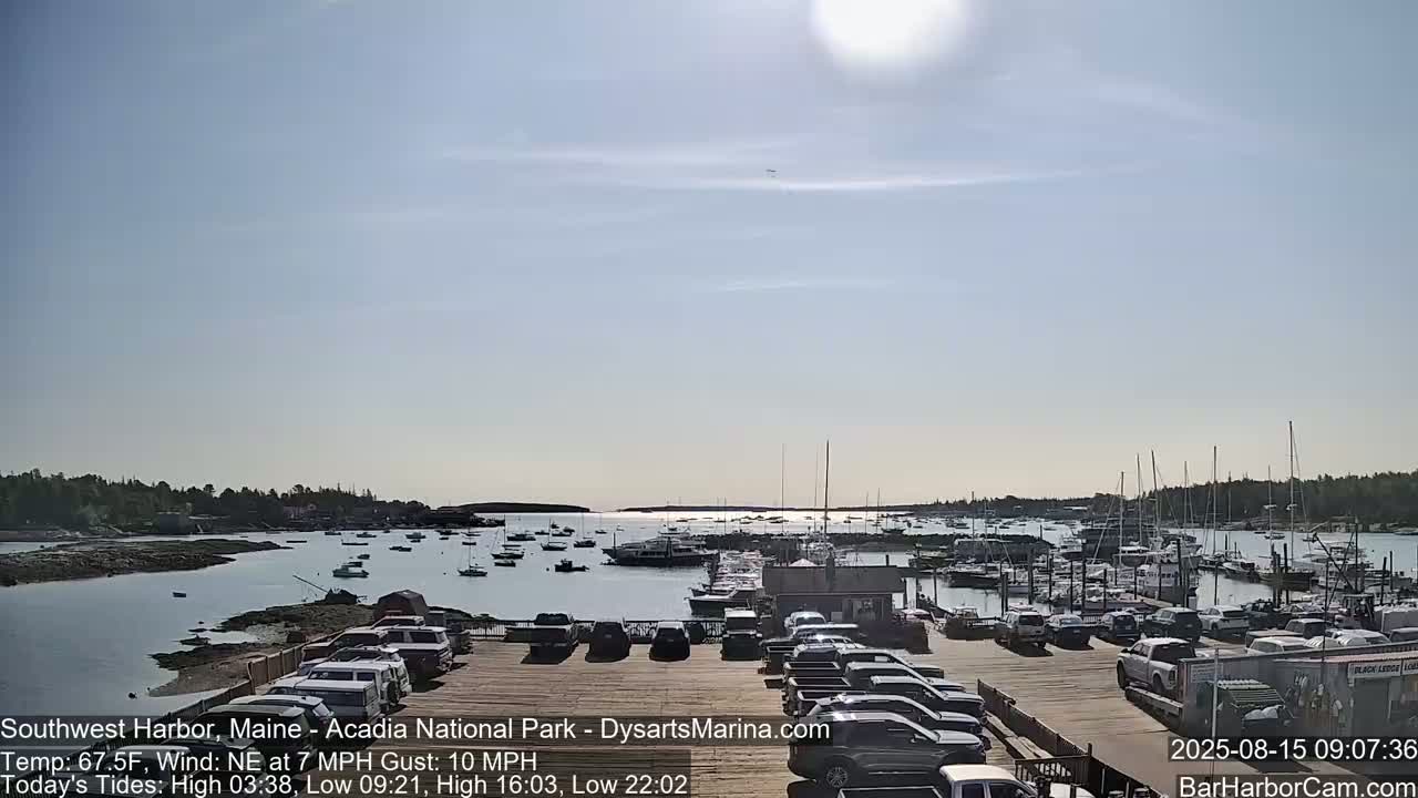 A nighttime view of a harbor filled with boats and cars parked nearby under a clear, dark sky.