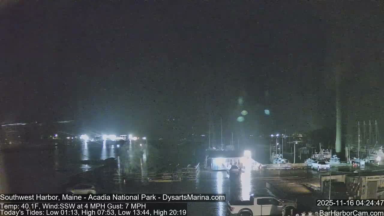 A grainy night view depicts a bustling harbor or marina under a rainy or very misty sky, with numerous boats docked along brightly lit piers and wet ground heavily reflecting the artificial light sources.