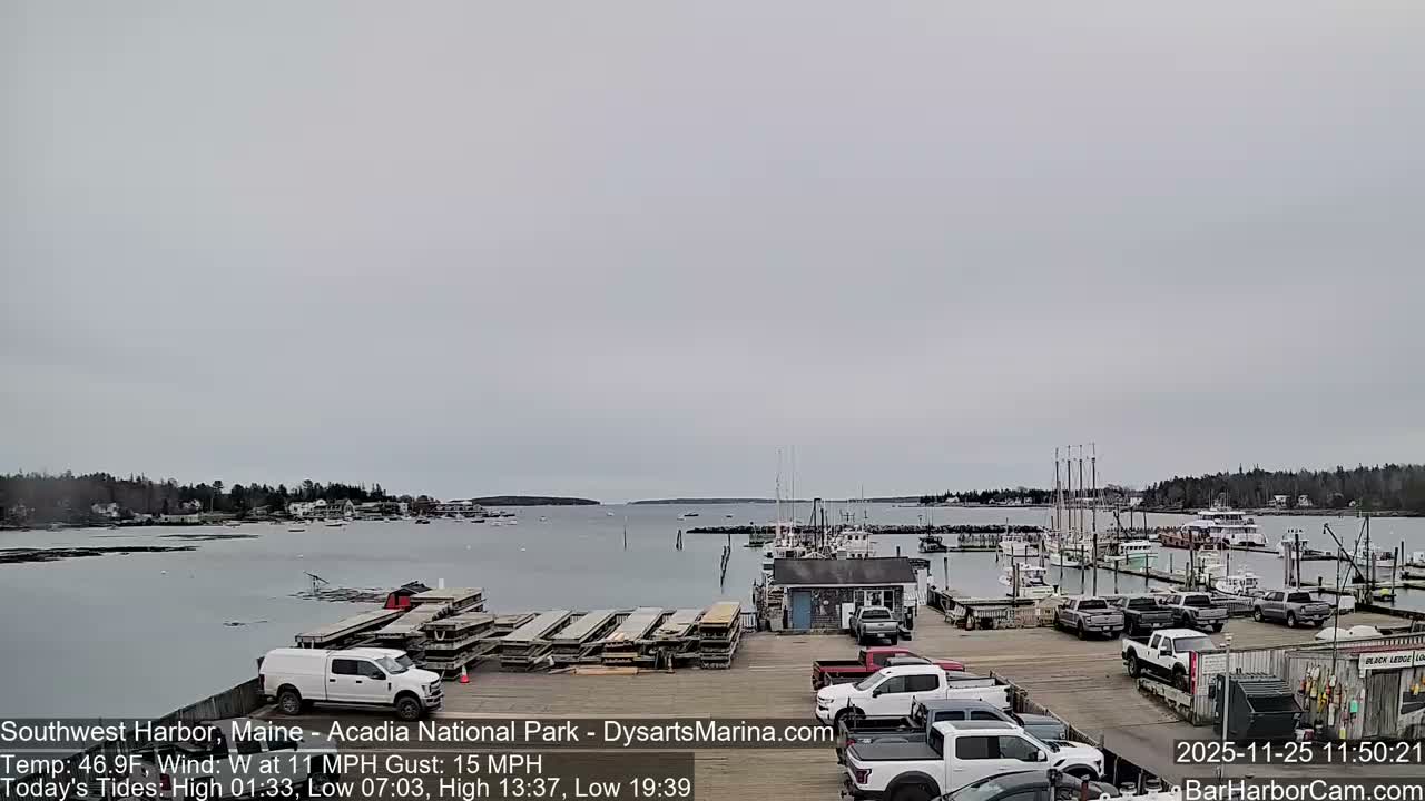 Acadia National Park, Southwest Harbor Live Cam - Maine, USA