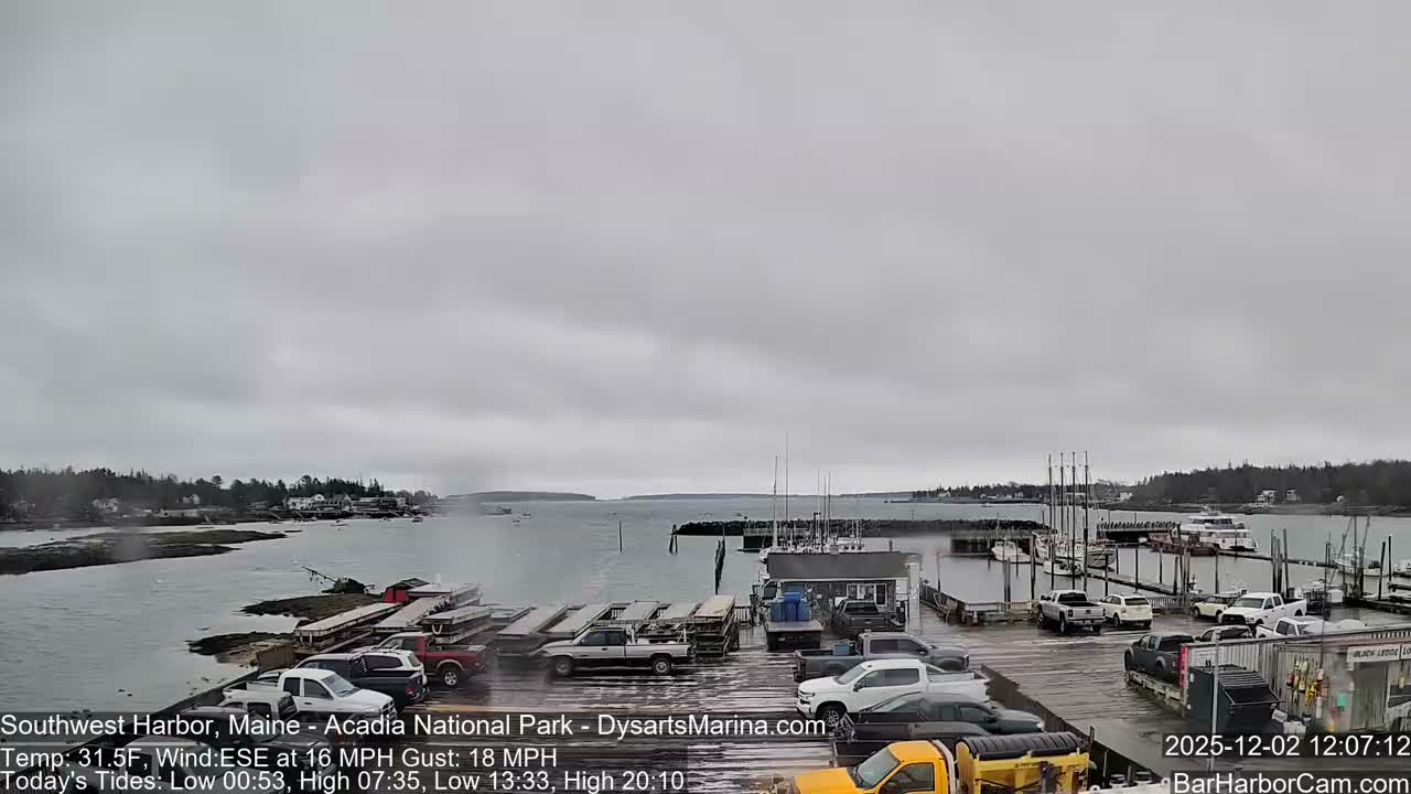 A dreary, overcast day covers a busy harbor featuring numerous boats tied to docks, a wet parking lot filled with vehicles, and a tree-lined shoreline in the distance.