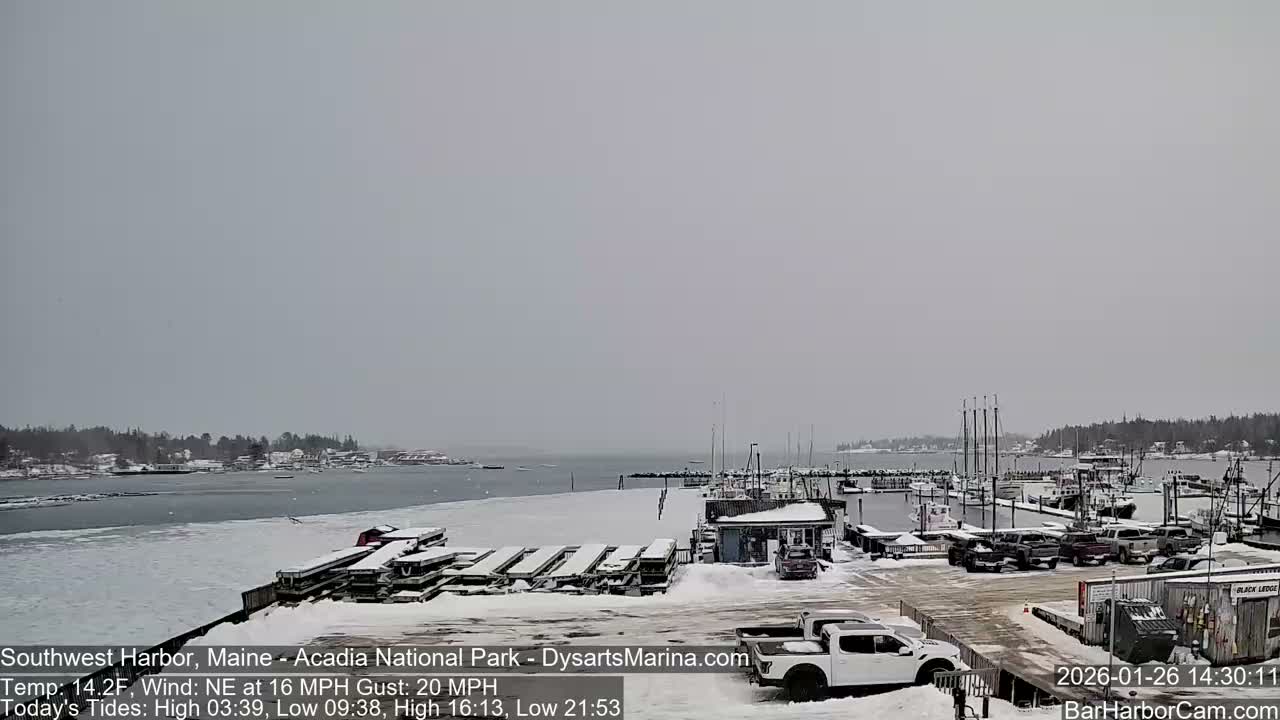 Acadia National Park, Southwest Harbor Live Cam - Maine, USA