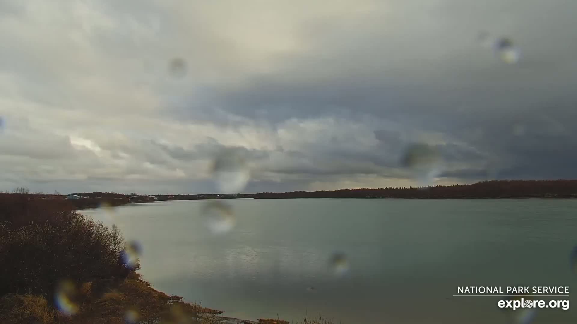 Rain falls on a calm, grey body of water, bordered by muted brown vegetation and a distant treeline under an overcast sky.