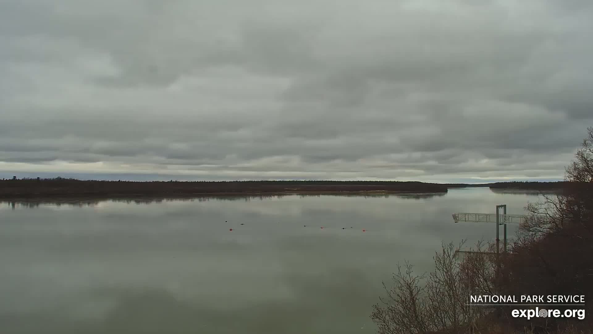 A wide, calm river reflects a cloudy gray sky under an overcast sky, with a small dock visible in the lower right corner and a treeline in the distance.