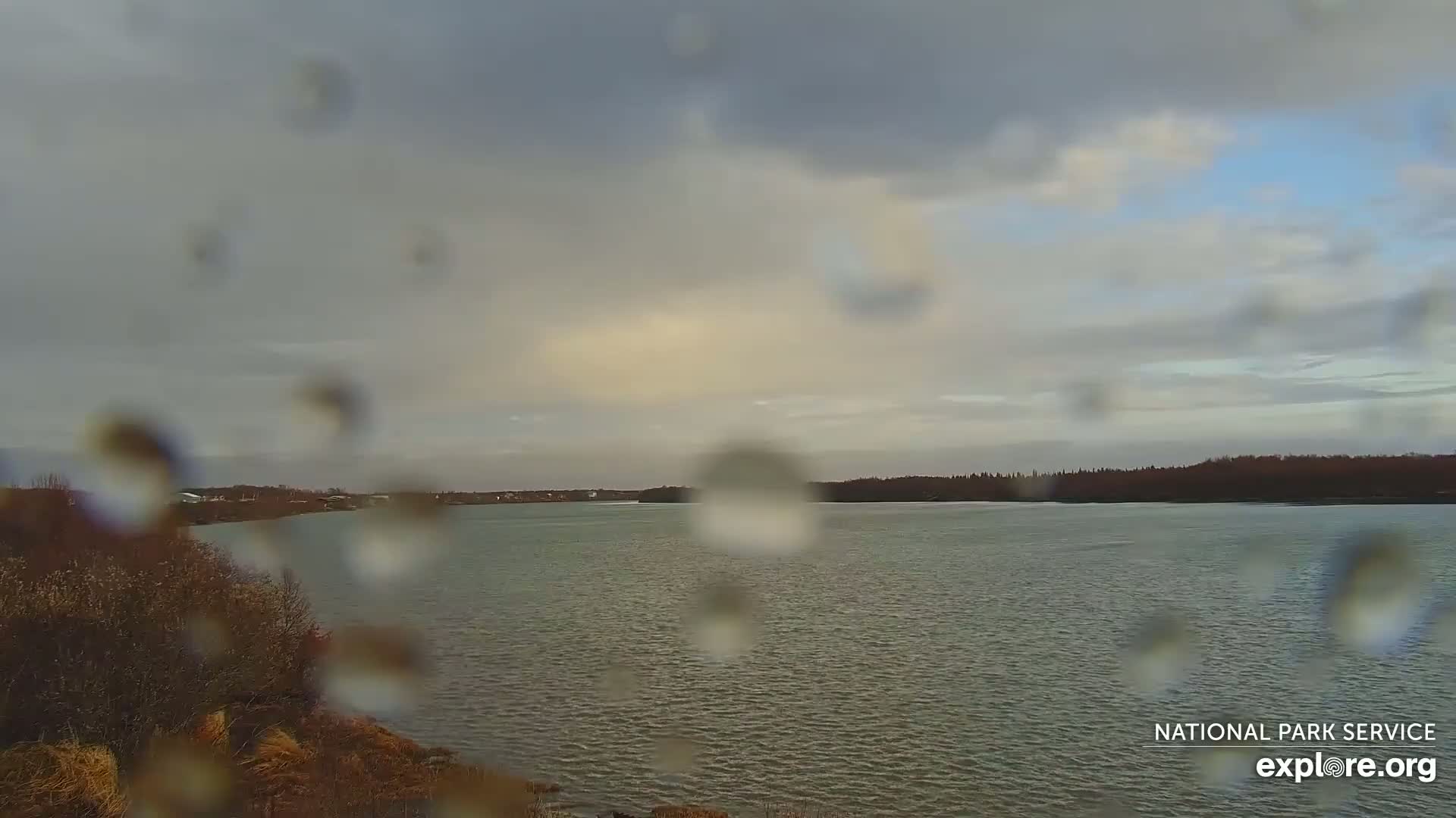 A rain-covered window obscures the view of a calm body of water bordered by a treeline under a mostly cloudy sky.