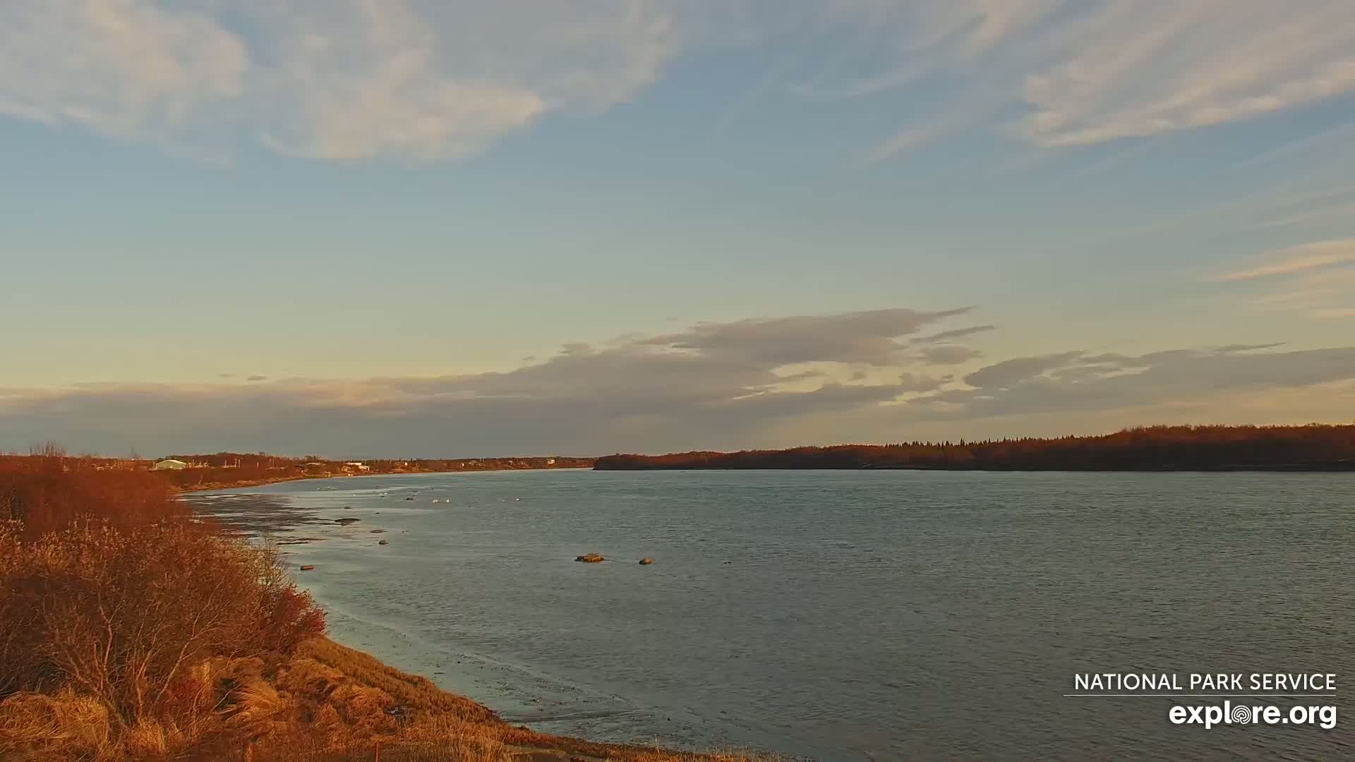 A wide, calm river flows under a partly cloudy, pale sky, with a shoreline of brown bushes and grasses in the foreground.