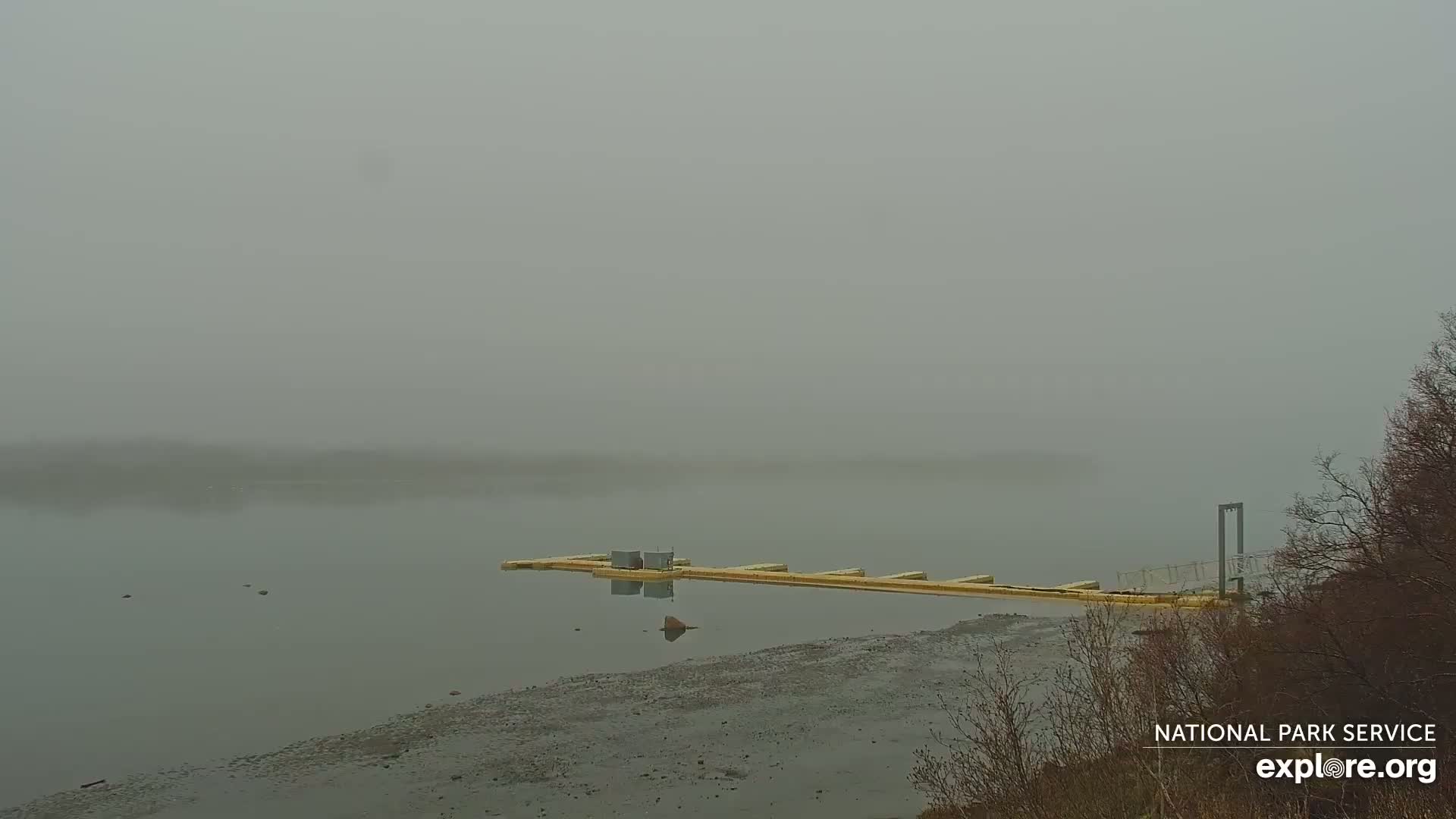 A foggy, calm body of water shows a dock extending from a muddy shoreline, with bare branches of trees visible in the bottom right corner.
