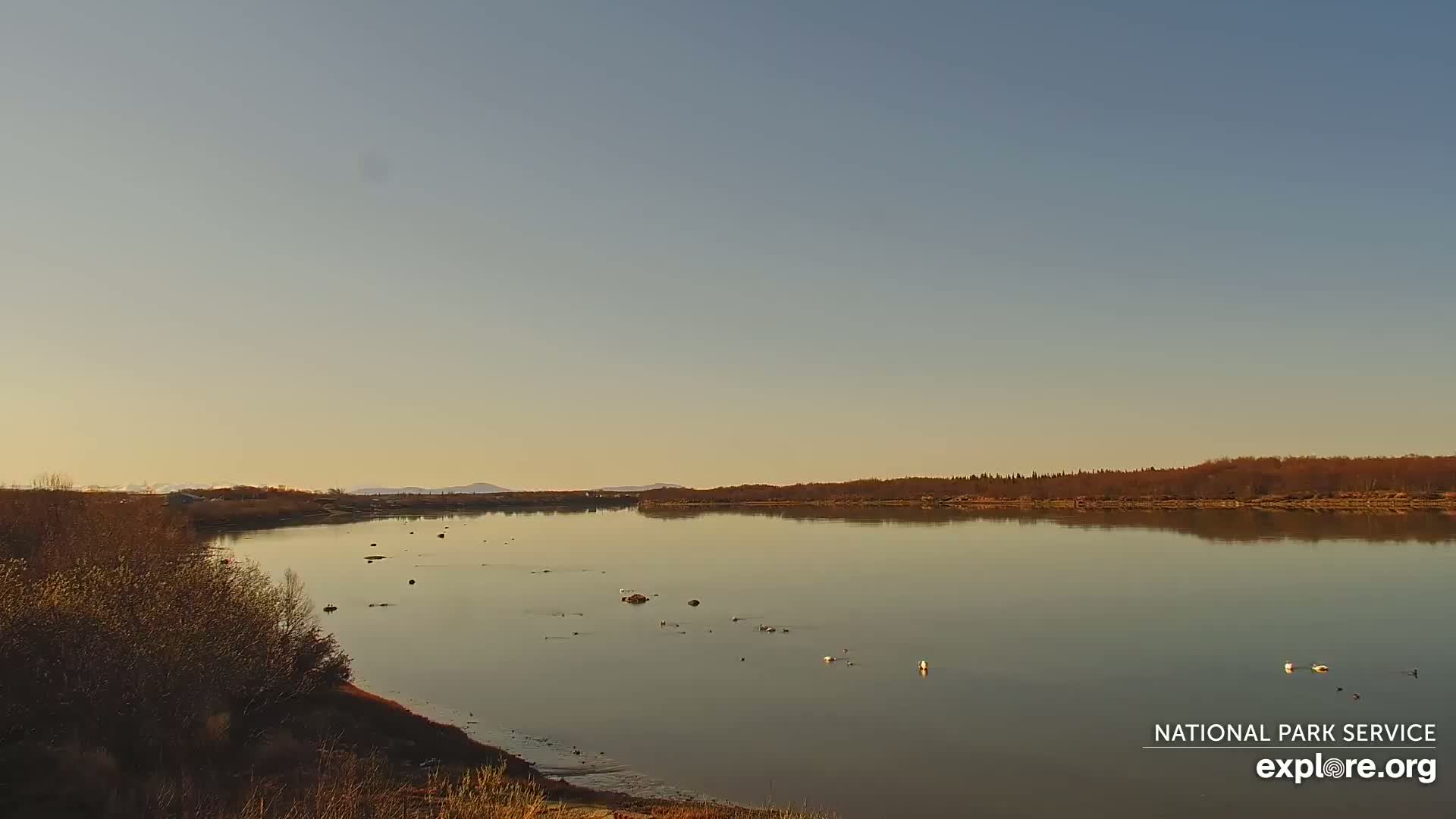 A calm, wide river reflects a pale sky under a clear, sunny sky, with a few birds visible on the water and leafless shrubs lining the riverbank.