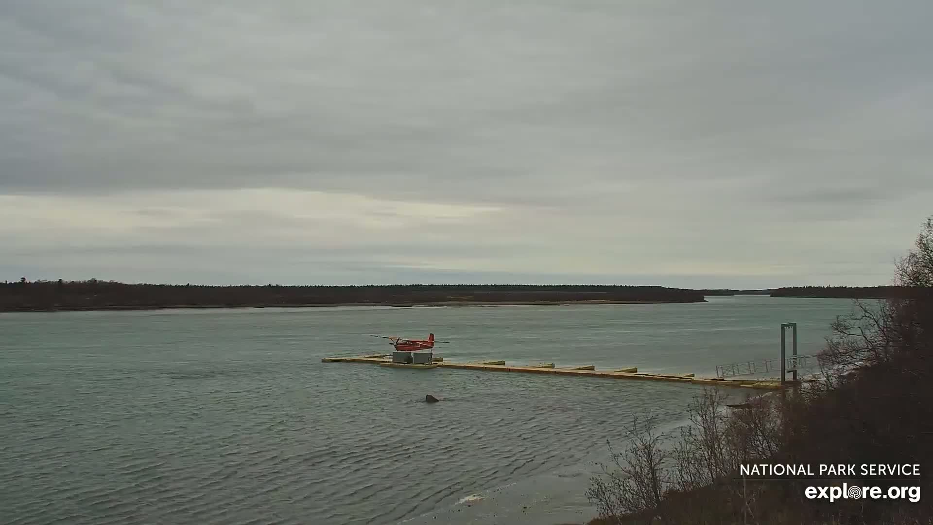 A red seaplane sits on a dock in a calm, gray-skied river, with a treeline visible in the distance.