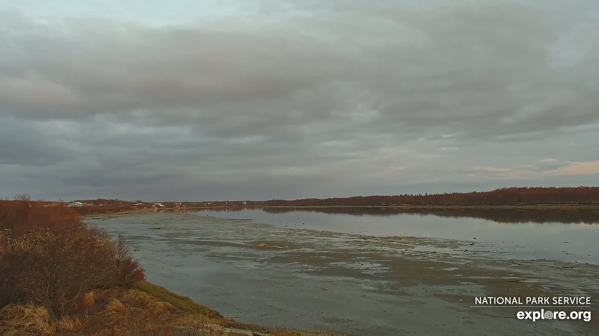 South Naknek, Naknek River Live Cam - Naknek, Bristol Bay Borough, Alaska, USA