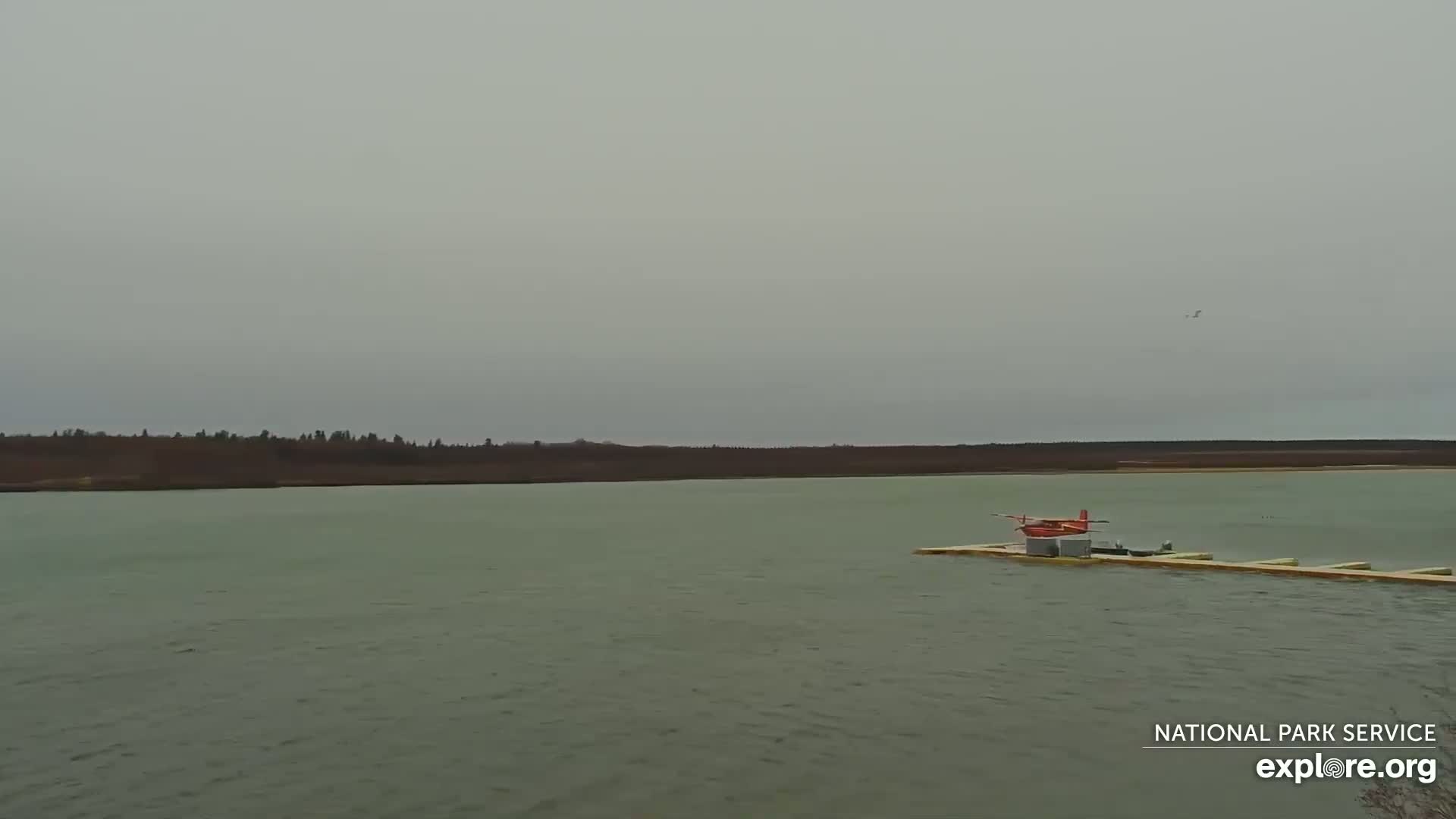 A small, red seaplane is docked at a long, narrow pier on a calm, gray day near a treeline.