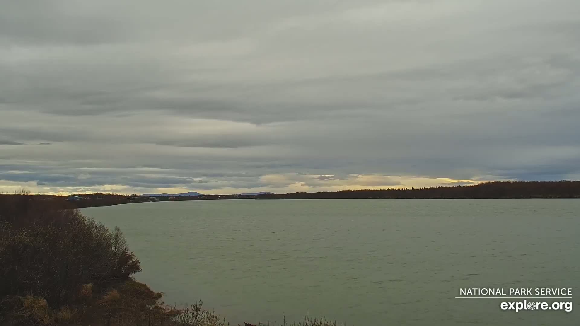 A wide, calm body of water stretches to a distant treeline under a cloudy, overcast sky.