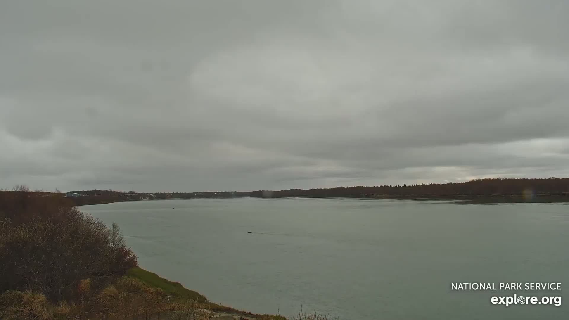 South Naknek, Naknek River Live Cam - Naknek, Bristol Bay Borough, Alaska, USA