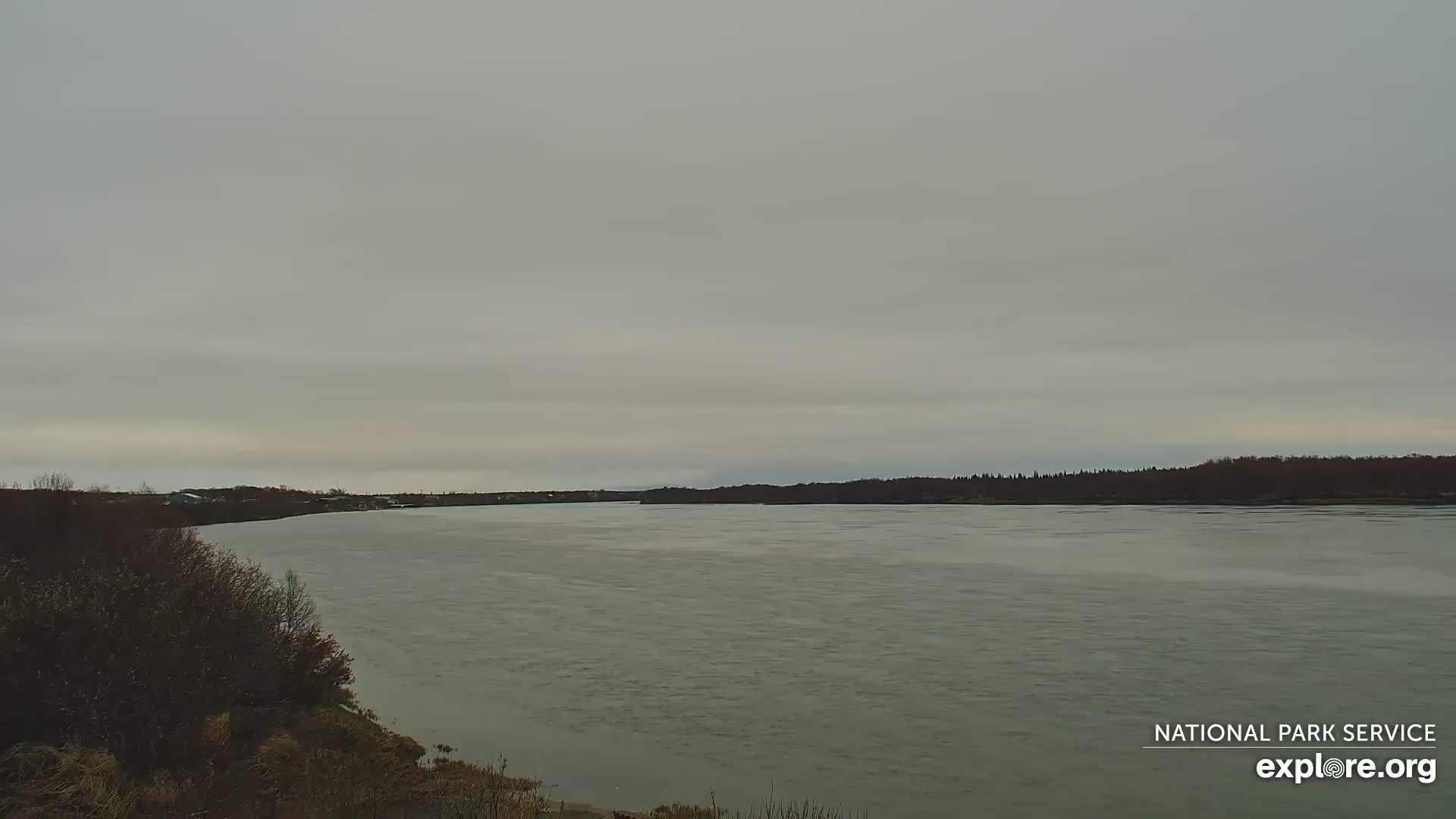 A wide, grey river flows under an overcast sky, bordered by dark, leafless trees and shrubs.