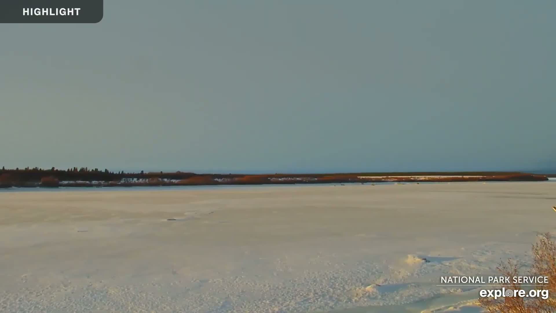 A wide, flat expanse of snow and ice stretches out to a dark line of trees and shrubs on the horizon under a pale, clear sky.
