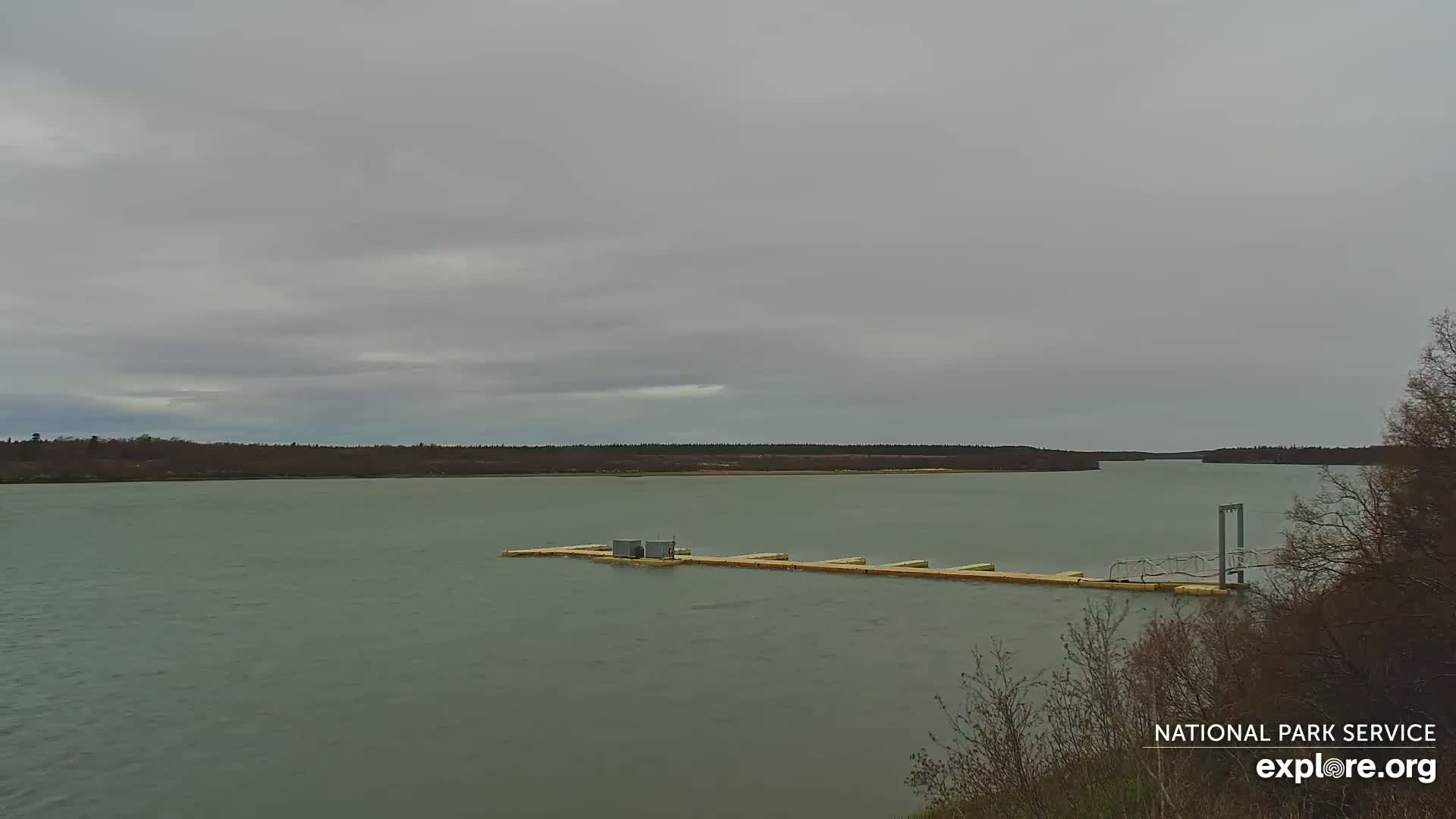 A long, floating dock sits in a calm, gray-toned river under an overcast sky, with a treeline visible in the distance.