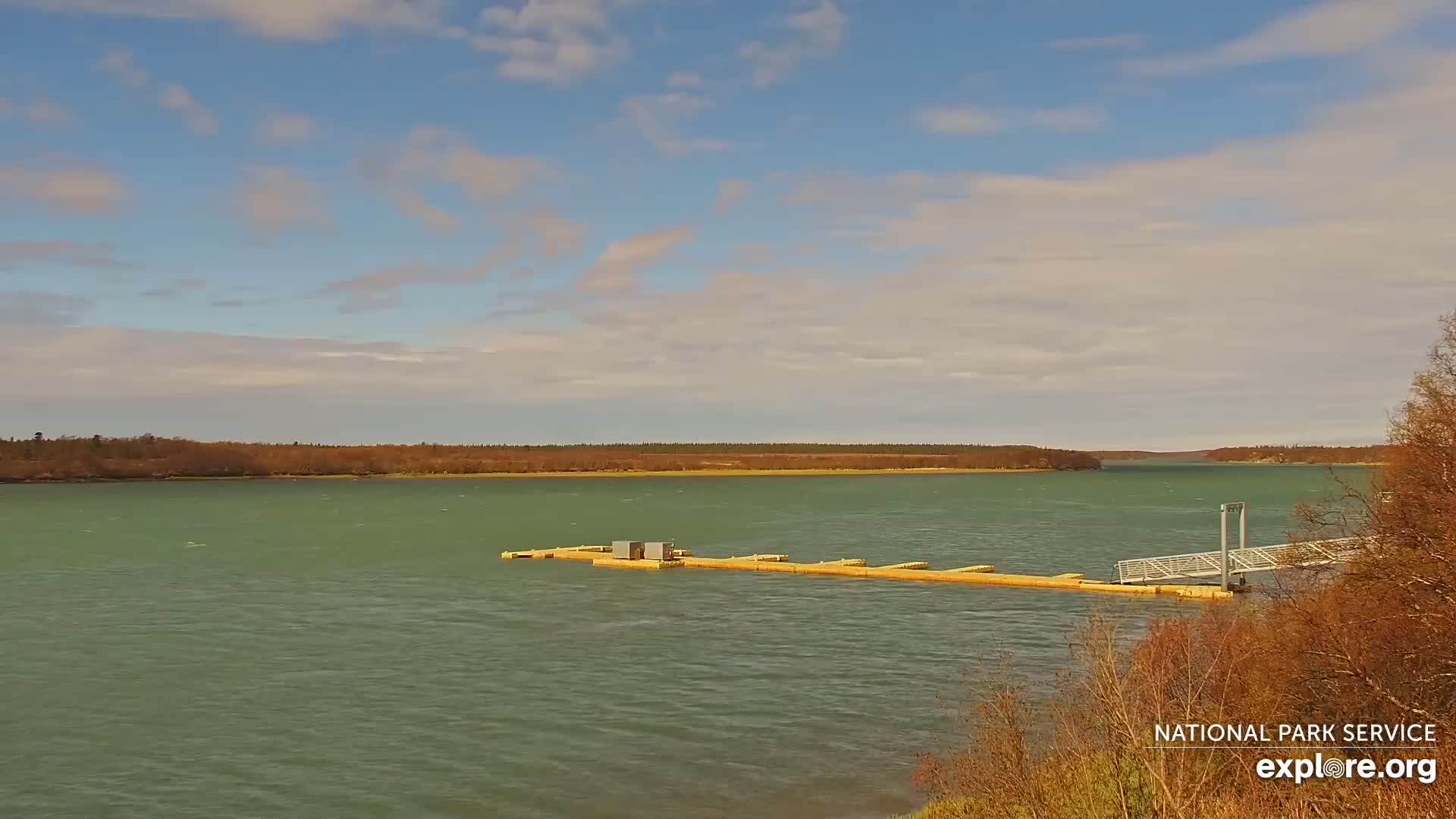 A calm, partly cloudy day reveals a long dock extending into a wide, green-tinged body of water, with a shoreline of low, brown-leafed trees in the background.