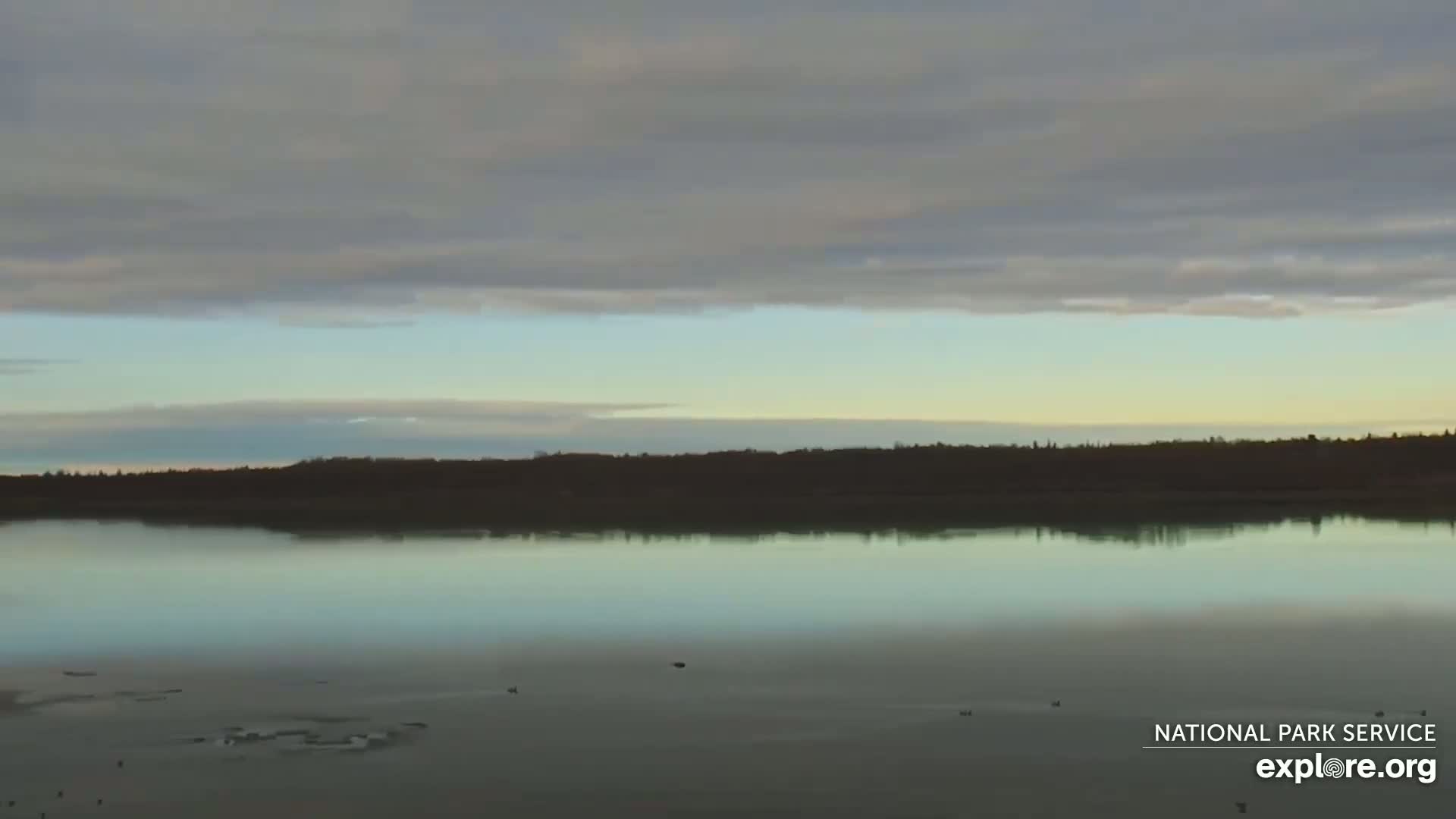 A calm body of water reflects a treeline under a mostly cloudy sky.