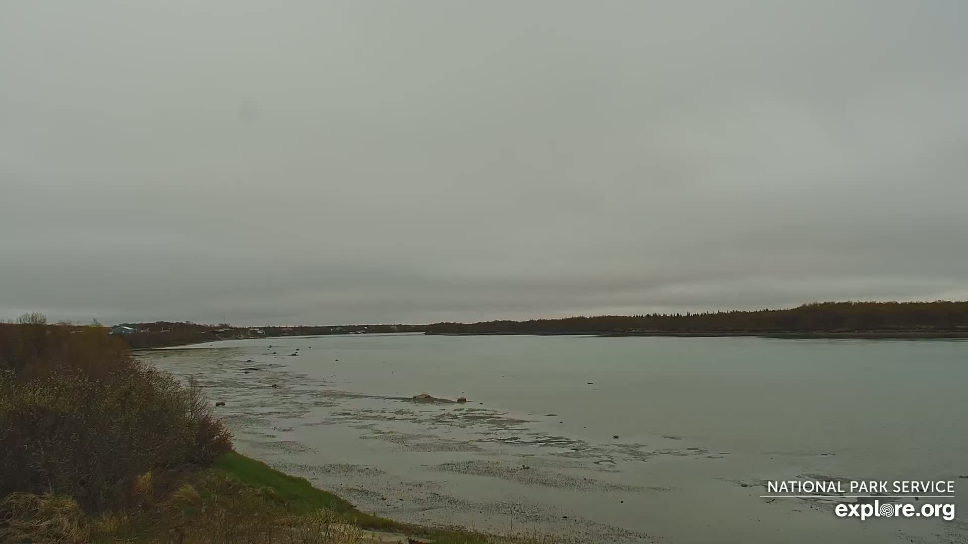 A wide, calm river under an overcast sky stretches to a tree-lined horizon, with exposed mudflats visible in the foreground.